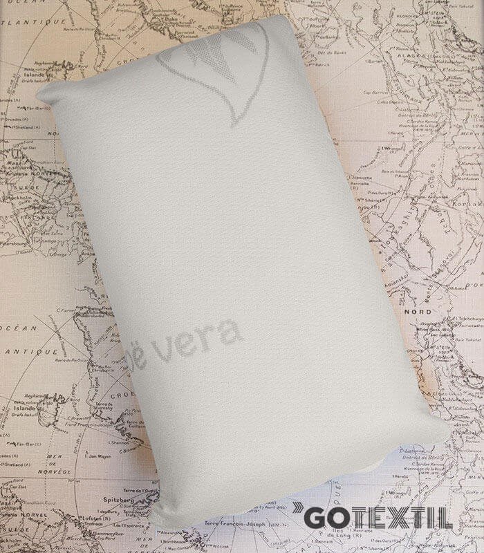 GOTEXTIL | Almohada de Viaje Viscoelástica Aloe Vera